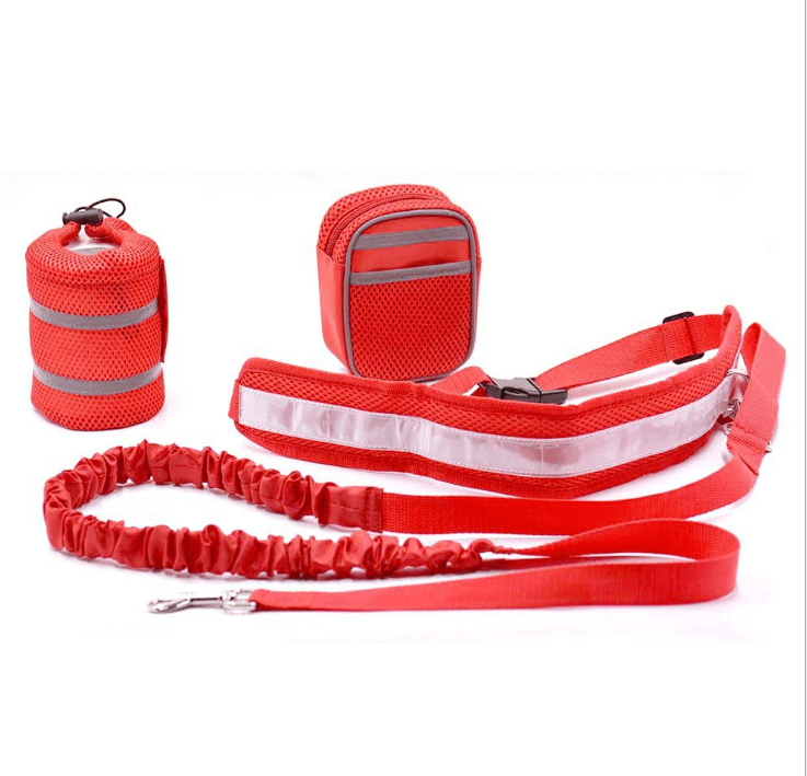 Dogs and Cats Boutique 10 Red Retractable Hands-Free Leash for Large Dogs