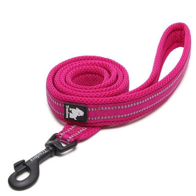 Dogs and Cats Boutique 10 Rose red / 2.0CM×200CM Highly Durable Dog Leash