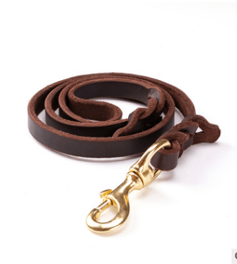 Dogs and Cats Boutique 10 Super Soft Leather Dog Leash for Large Dogs