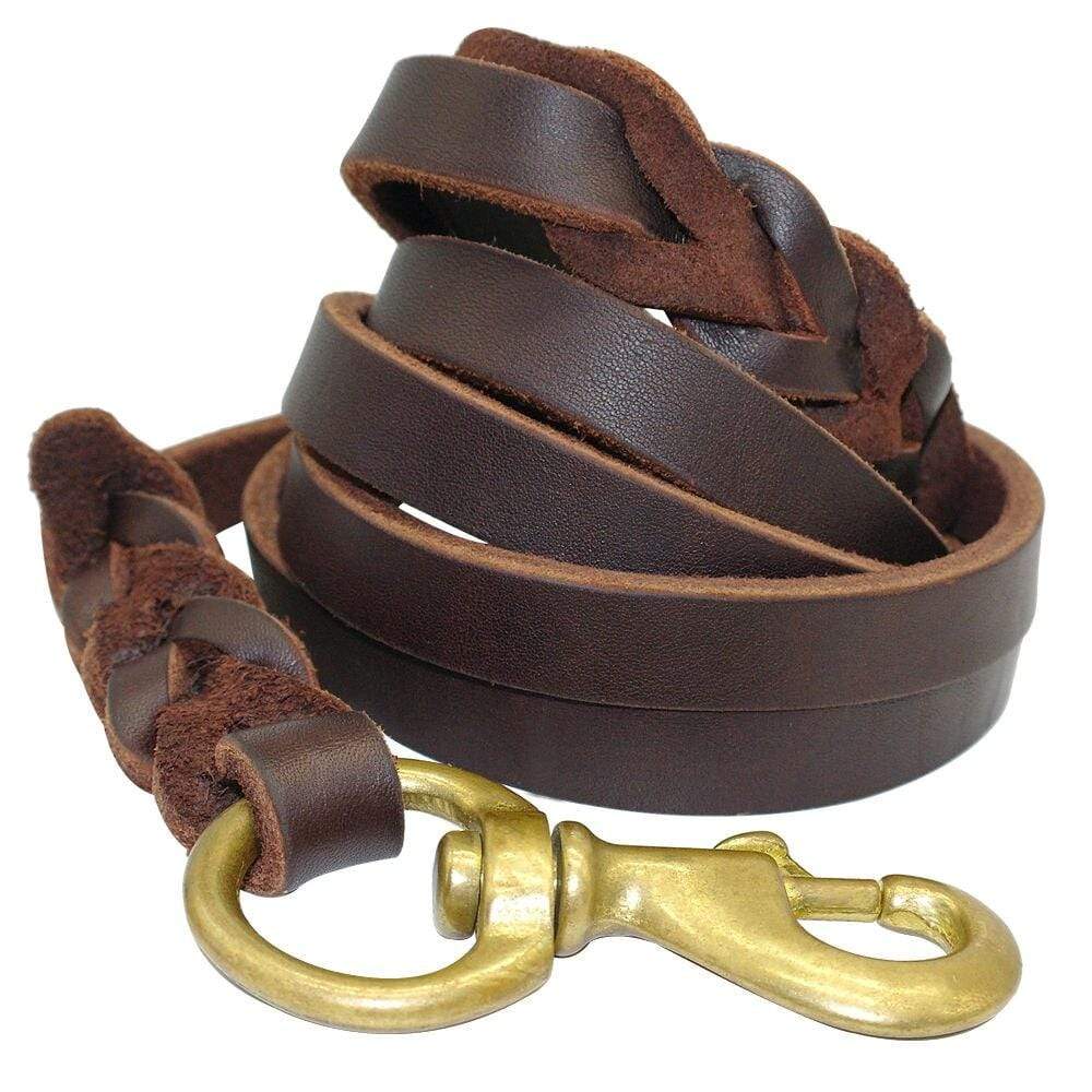 Dogs and Cats Boutique 10 Super Soft Leather Dog Leash for Large Dogs