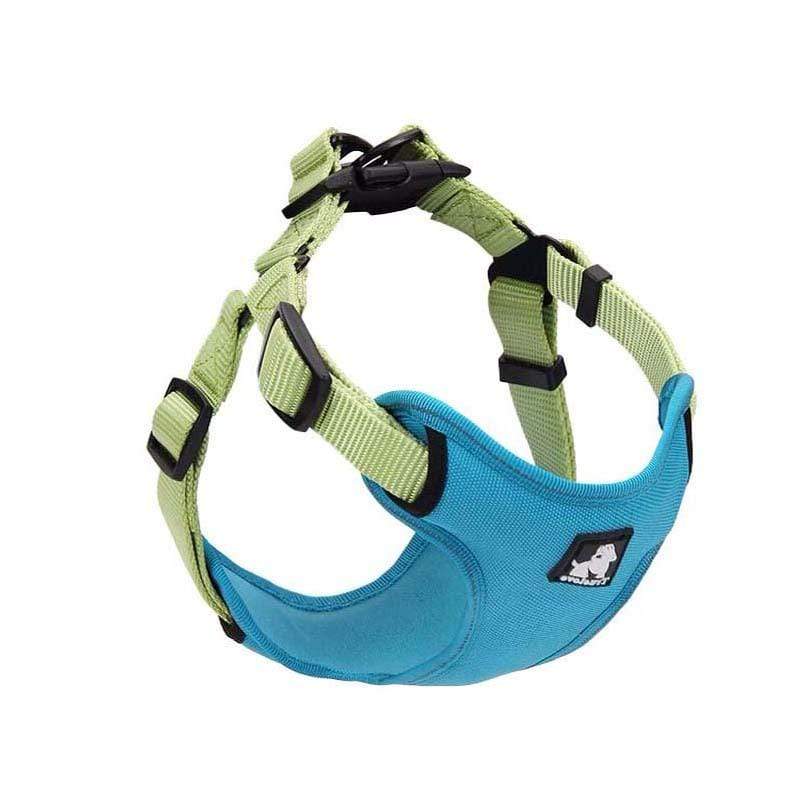 Dogs and Cats Boutique 11 Blue green / L Full Adjustable Dog Harness