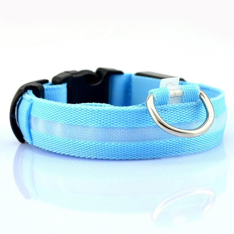 Dogs and Cats Boutique 12 Blue / XS Rechargeable Flashing Light Collar for Dogs
