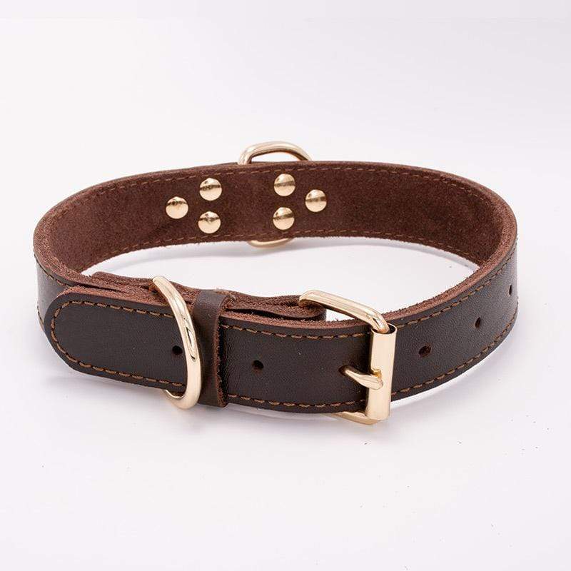 Dogs and Cats Boutique 12 Brown / S Dog Leather Adjustable Collar