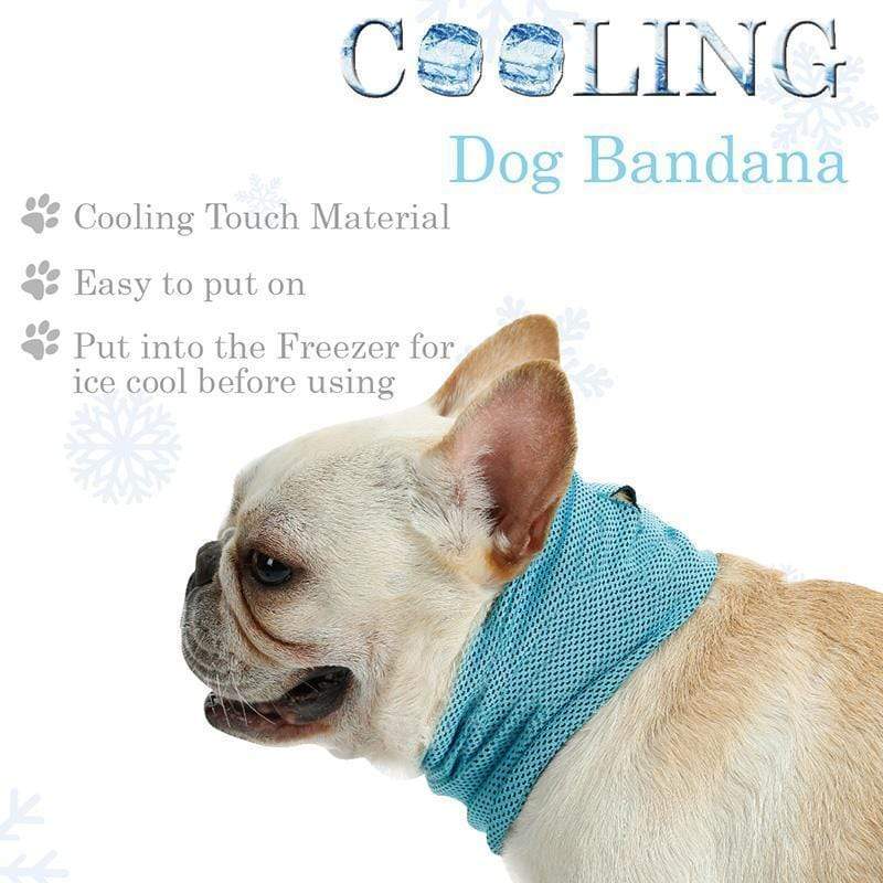Dogs and Cats Boutique 12 Cooling Bandana Scarf for Dogs