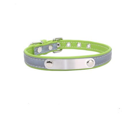 Dogs and Cats Boutique 12 Green / M Dog Collar with Stainless Steel Nameplate