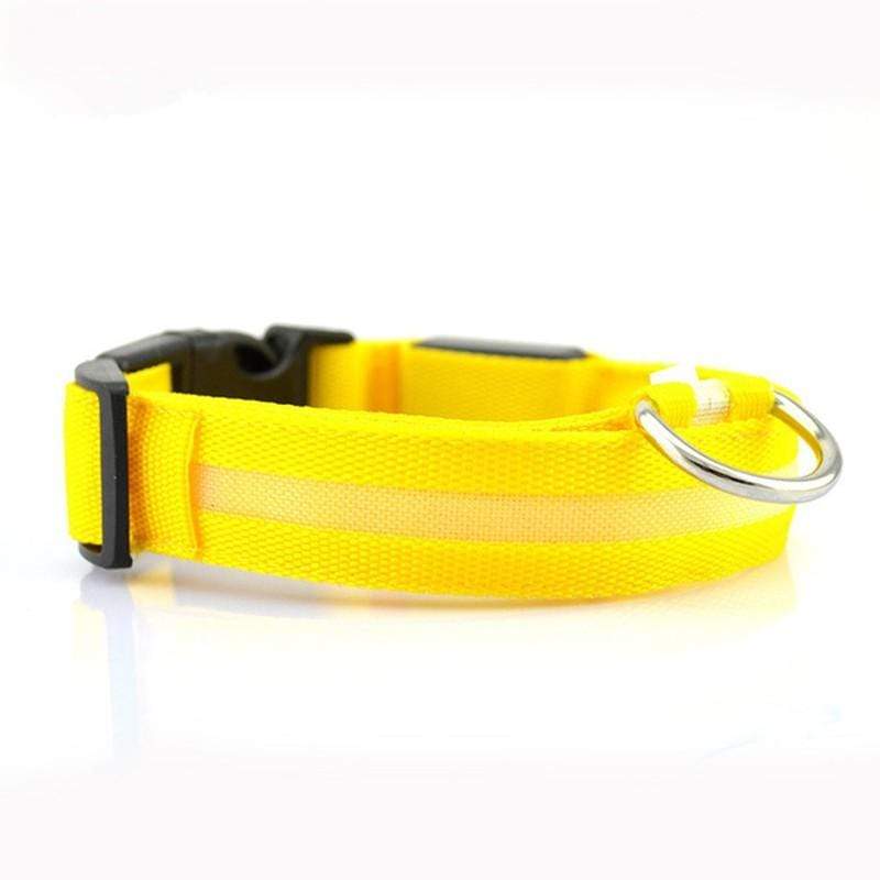 Dogs and Cats Boutique 12 Yellow / M Rechargeable Flashing Light Collar for Dogs