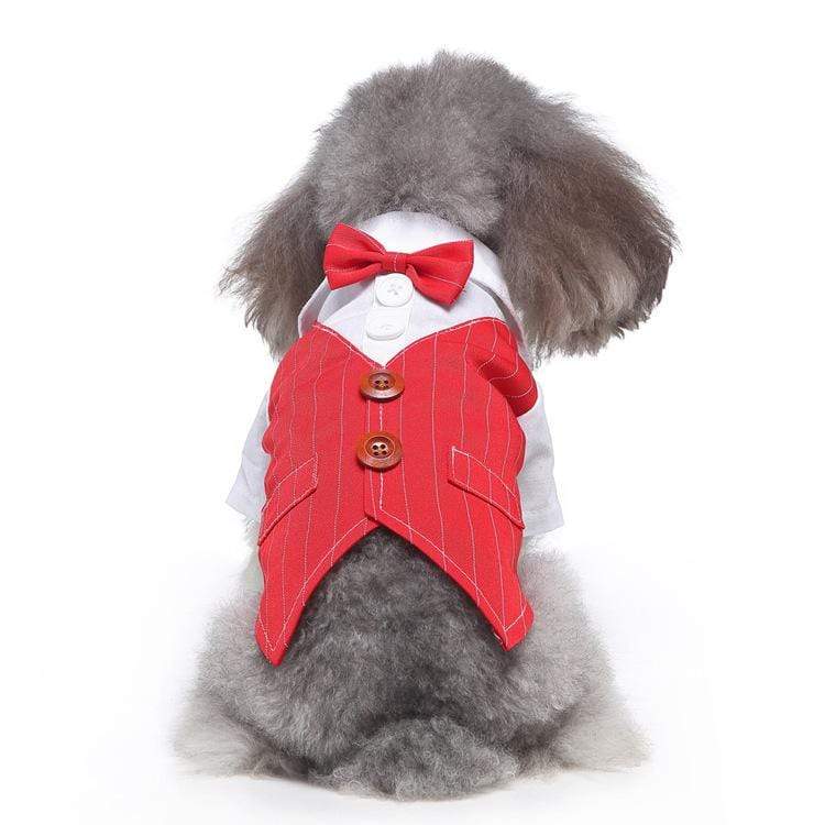 Dogs and Cats Boutique 2 16 style / L Plaid Dog Suit