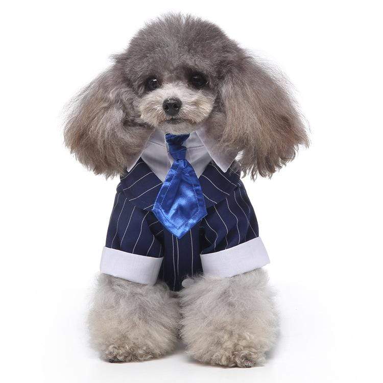 Dogs and Cats Boutique 2 6 style / XL Plaid Dog Suit