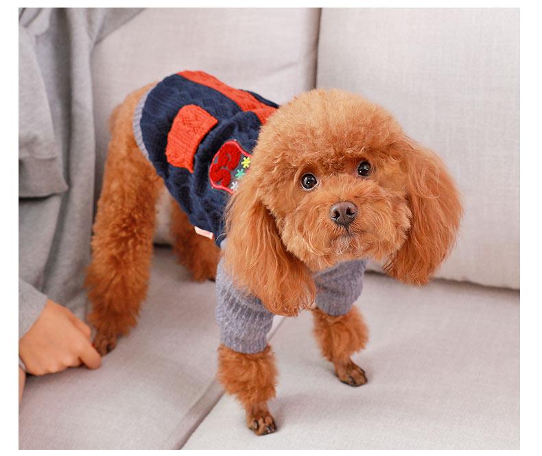 Dogs and Cats Boutique 2 Knitted Dog Winter Sweater