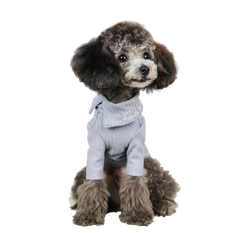 Dogs and Cats Boutique 3 Less Is More Knitted Sweater