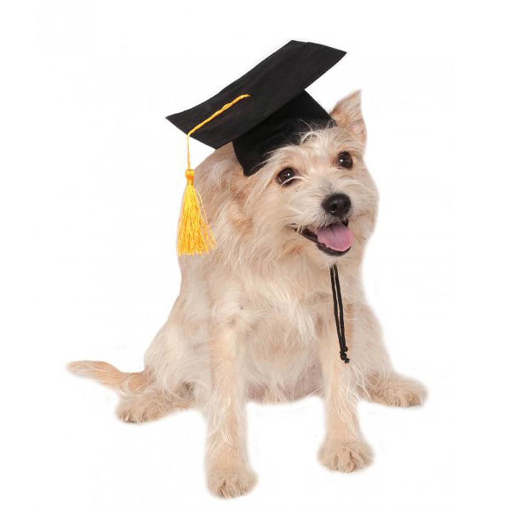 Dogs and Cats Boutique 3b Black / One size Yellow Tassel Degree Pet Hat