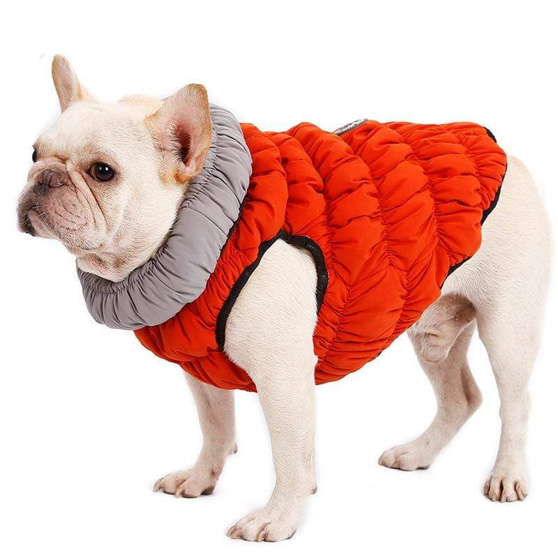 Dogs and Cats Boutique 5 Orange / L Ribbed Dog Cotton Vest